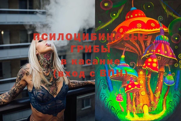 таблы Магадан