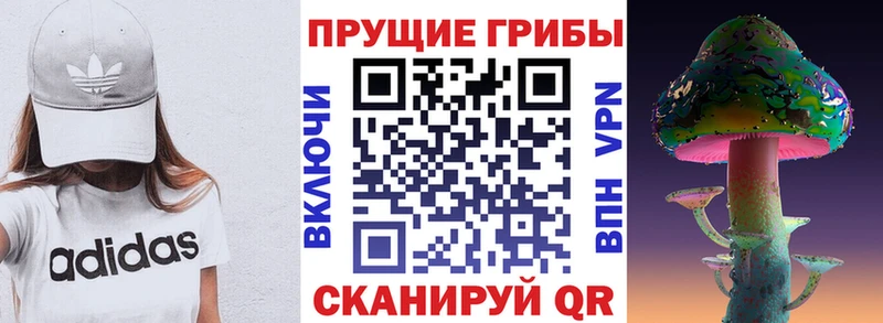 Псилоцибиновые грибы мухоморы  Минеральные Воды 