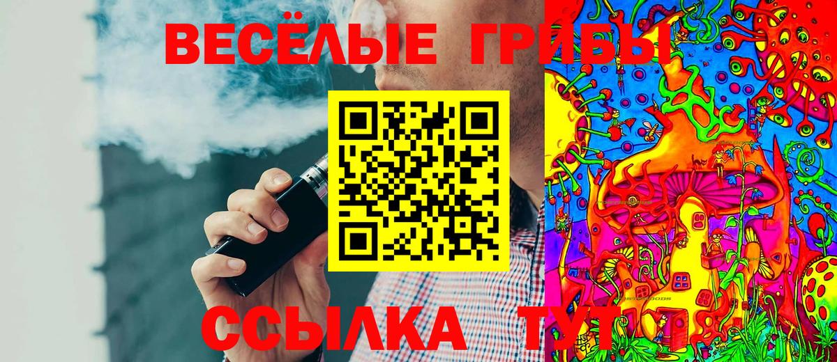 Псилоцибиновые грибы мицелий Минеральные Воды