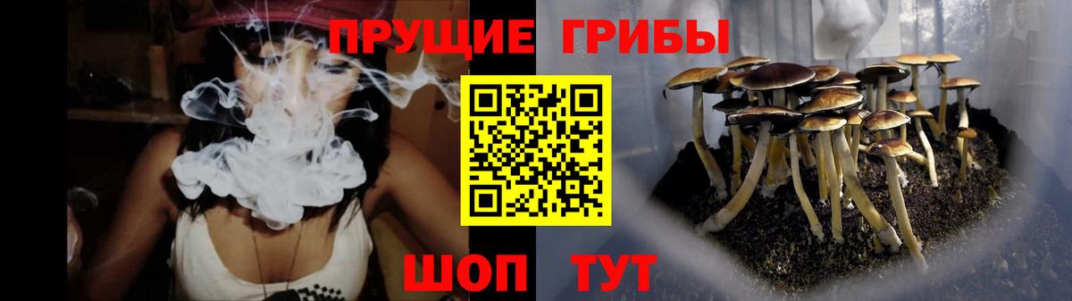 Псилоцибиновые грибы мицелий  Псилоцибиновые грибы MAGIC MUSHROOMS  Вход с VPN  Минеральные Воды 